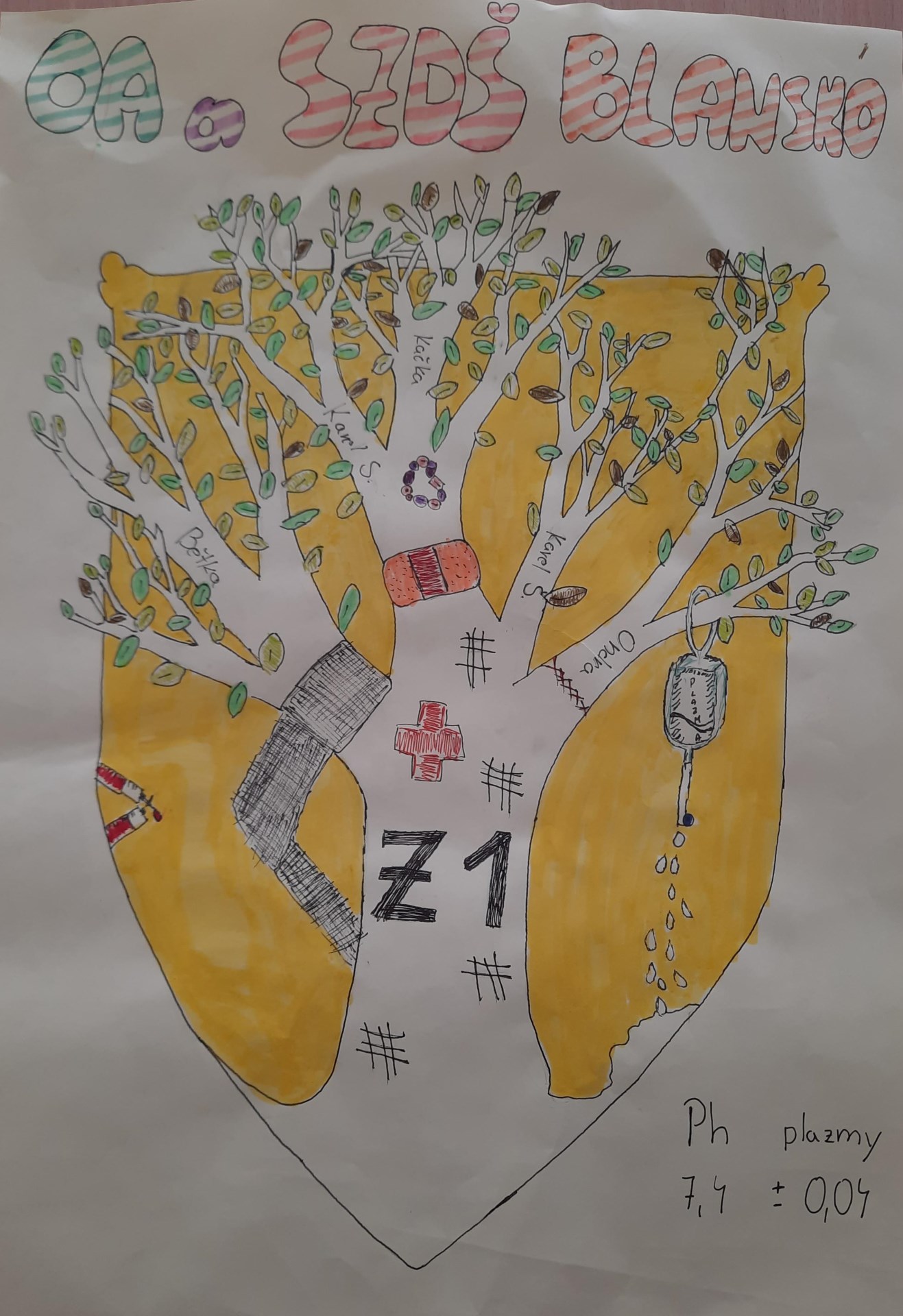 Nejlepší erb soutěže v první pomoci | Fotogalerie | Obchodní akademie a ...